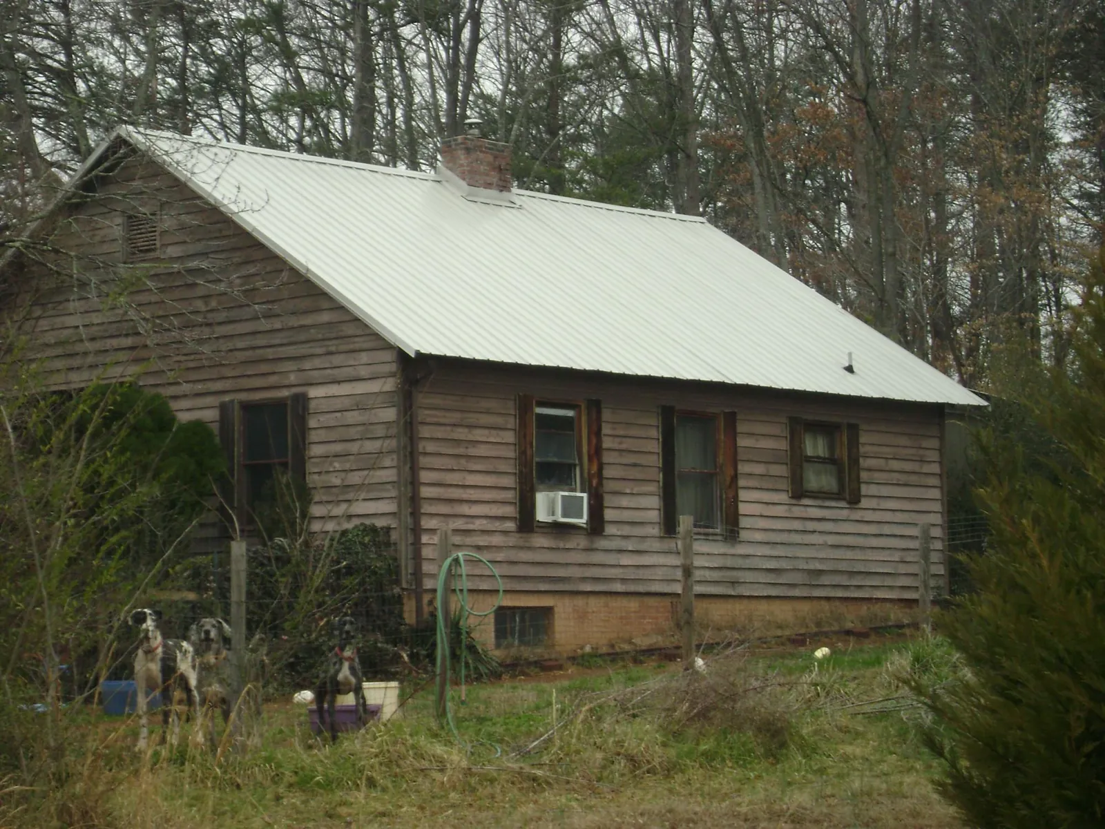 White metal roof on an old wood sided farmhouse, from a Asphalt Shingle Roof Repair job in Mount Carroll
